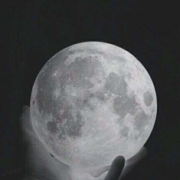 Meet your Posher, Axel - Picture 1 of 1